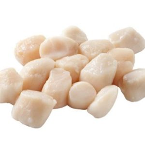 Coquilles 10/20