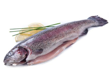 Forel